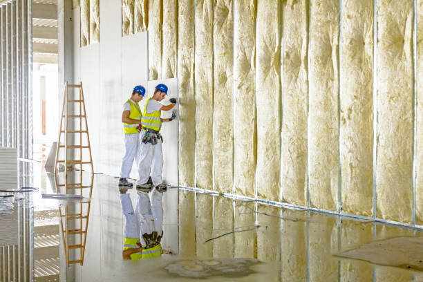 Best Insulation Repair Services  in Mineola, TX